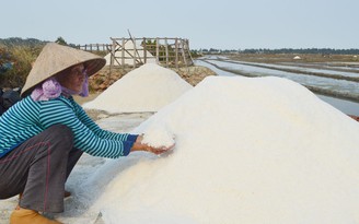 Phát triển vùng muối Sa Huỳnh theo hướng công nghiệp sạch