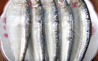 Giảm hen suyễn ở trẻ