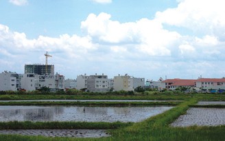 Hà Nội được chuyển đổi 61,8 ha đất lúa sang đất phi nông nghiệp