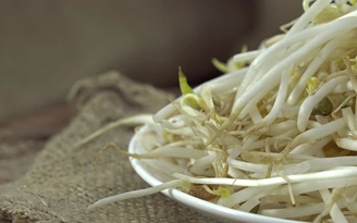 Những lợi ích tuyệt vời từ giá đỗ