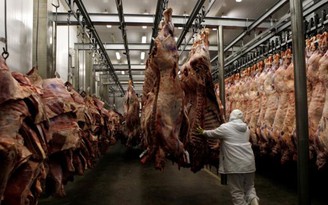 Mỹ từ chối dỡ bỏ lệnh cấm nhập khẩu thịt bò Brazil