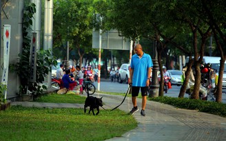 Nuôi chó gây ô uế nơi công cộng ở TP.HCM