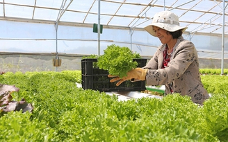 48 tỉ đồng xây dựng 3 trung tâm sau thu hoạch