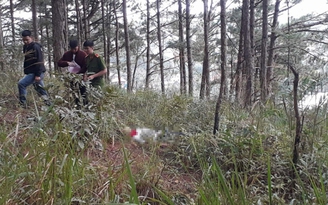 Phát hiện thi thể nam thanh niên trong rừng thông bên cạnh chai thuốc trừ sâu