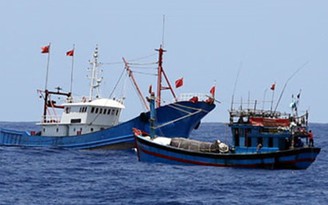 Chấm dứt khai thác hải sản bất hợp pháp