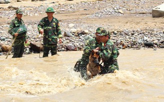 Kỳ công luyện chó cứu nạn