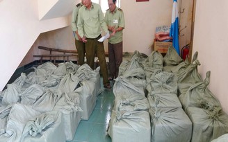 Bắt xe chở hàng không có hóa đơn