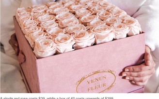 Gần 40 USD một bông hồng Valentine đặc biệt có thể tươi suốt cả năm