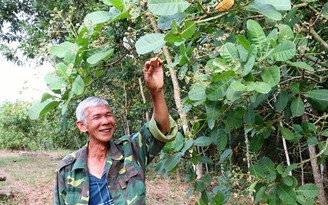 40 năm chiến thắng chiến tranh bảo vệ biên giới Tây Nam (7.1.1979 - 7.1.2019): Giúp bạn hồi sinh