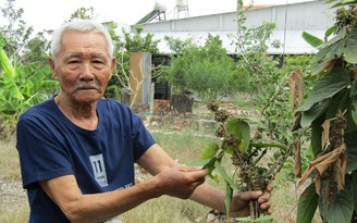 Chuyện tử tế: Lão nông 60 năm tìm thuốc cứu người