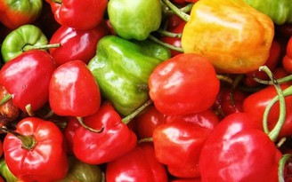 6 lợi ích sức khỏe bất ngờ từ ớt chuông