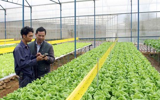 Nông nghiệp Lâm Đồng hướng đến mục tiêu hơn 65.000 ha ứng dụng công nghệ cao