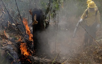 Brazil triển khai chiến đấu cơ cứu hỏa rừng Amazon