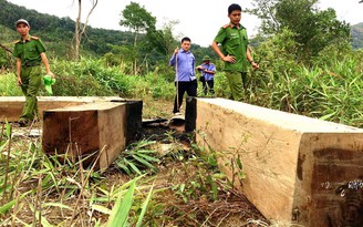 Bí Thư Tỉnh ủy yêu cầu kỷ luật Chủ tịch huyện 'bất lực' giữ rừng