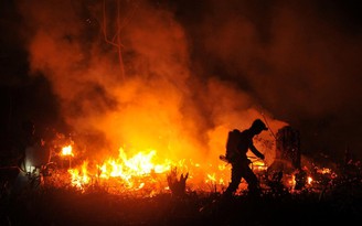 Khí thải từ cháy rừng ở Indonesia tồi tệ hơn Amazon