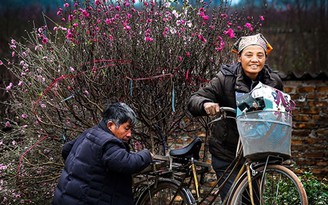 Tình yêu và cuộc sống Hà Nội