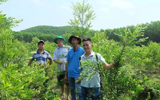 Năm chàng trai 'tinh dầu'