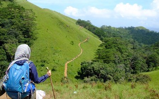 2 ngày trekking chinh phục Tà Năng – Phan Dũng, cung đường đẹp nhất miền Nam