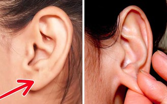 6 lợi ích bất ngờ của mát xa tai có thể bạn chưa biết
