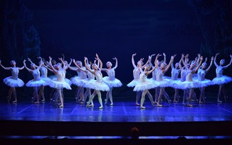 Tạm dừng lưu diễn vở ballet 'Hồ Thiên Nga'