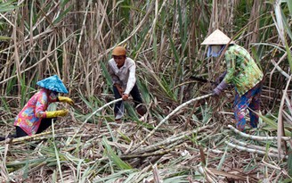 'Phù phép' hồ sơ đất làm thất thu ngân sách gần 24 tỉ đồng