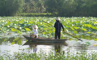 Câu chửi thương và tộ đường dẻo