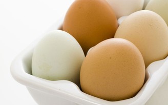 12 điều thú vị về trứng mà bạn có thể chưa biết hết