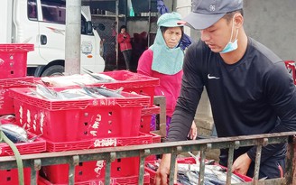 Tàu xuyên tết đầy cá, mực từ Hoàng Sa, Trường Sa