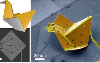 Robot nano tự gập thành chim origami nhỏ nhất thế giới