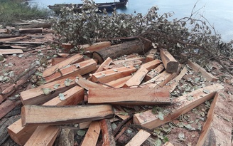 UBND tỉnh Gia Lai chỉ đạo làm rõ vụ gỗ lậu ở lòng hồ thủy điện