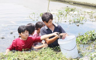 Tuổi thơ nhọc nhằn: Lên Sài Gòn... bắt ốc