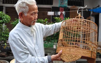 Dựng 'nhà' cho chim