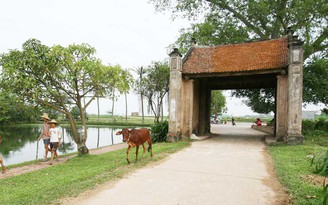 525 năm ngày hoàng đế Lê Thánh Tông qua đời (theo âm lịch: 30.1.1497 - 30.1.2022): Cuộc hòa huyết vĩ đại