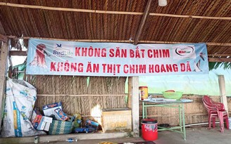 Chim trời phiêu du ký: 'Sứ giả' chim hoang dã