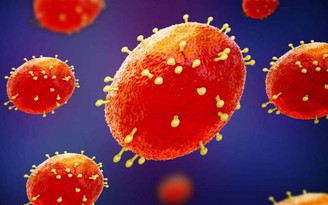 CDC Mỹ: Tiêm vắc xin đậu mùa có thể chống bệnh đậu mùa khỉ