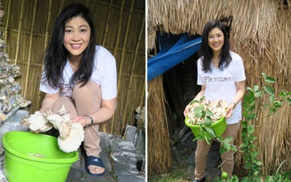 Bà Yingluck chuyển sang nghề trồng rau, ươm nấm?