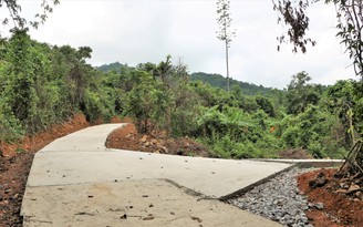 Thanh tra toàn diện dự án khu cứu hộ và việc bảo vệ rừng tại Phong Nha