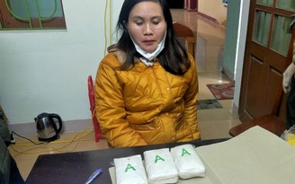 Công an Quảng Bình phá đường dây ma túy do một phụ nữ cầm đầu