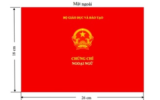 Từ ngày 1.8.2021, không yêu cầu chứng chỉ ngoại ngữ, tin học đối với công chức hành chính, văn thư