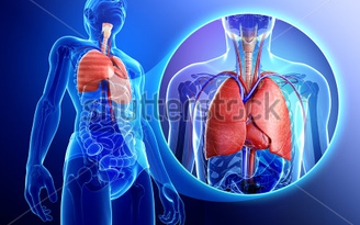 Phát hiện mới về nguyên nhân gây bệnh hen suyễn