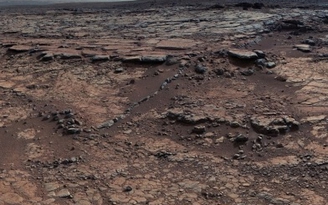NASA dùng vi sinh vật tạo oxy trên sao Hỏa