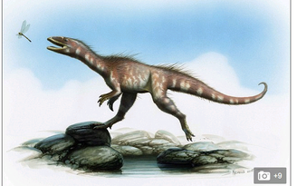 Tìm thấy loài khủng long mới có họ hàng với khủng long bạo chúa