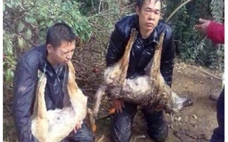 Dân làng tự xử 'cẩu tặc' ở Trung Quốc