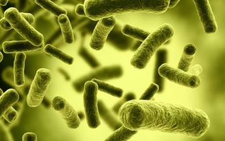 Mỹ phát hiện ‘siêu vi khuẩn’ kháng mọi loại kháng sinh điều trị