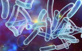 Cứ 3 giây, siêu vi khuẩn mới giết chết 1 người vào năm 2050