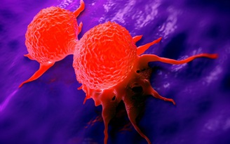 Thuốc mới có thể diệt hoàn toàn tế bào ung thư da