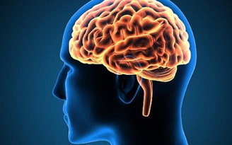7 sự thật đáng kinh ngạc về hệ thần kinh con người