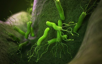 Hơn một nửa tế bào trên cơ thể người là vi sinh vật