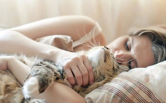 Chớ ngủ chung với mèo vì những lý do sau