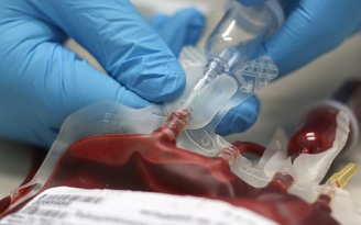 Cậu bé mắc bệnh lạ: Muốn sống phải truyền máu liên tục